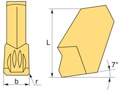 SP