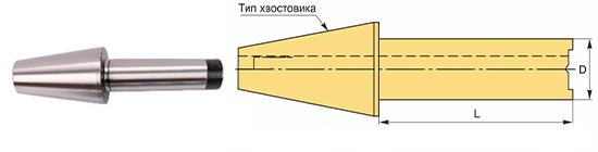 BT-D_4
