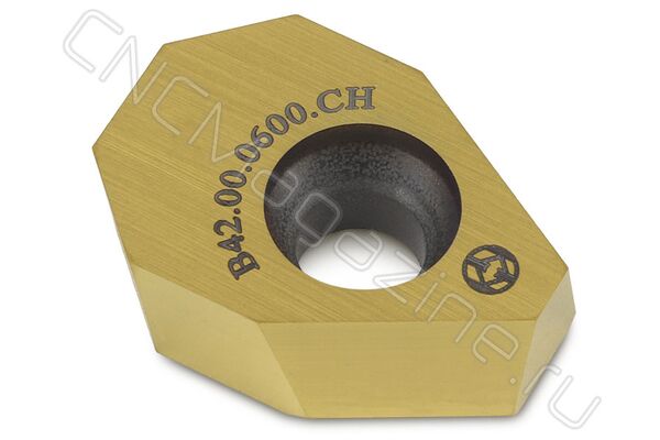 B42.00.0600.CH.VP3001 пластина для долбяка