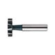 ML06245E01 Фреза Т-образная 45.5X12X10X71 для шпоночных пазов Milling Cutter